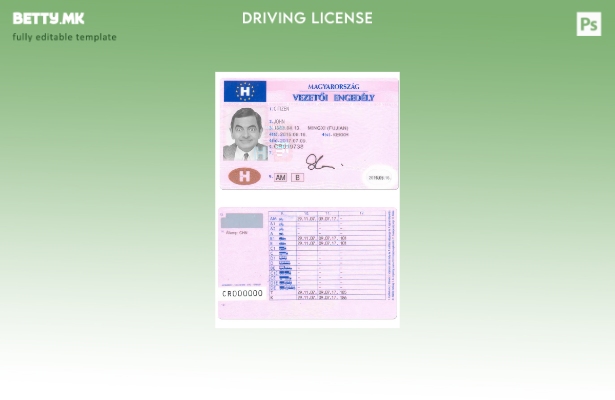 модерен стил УНГАРИЈА dl шаблон